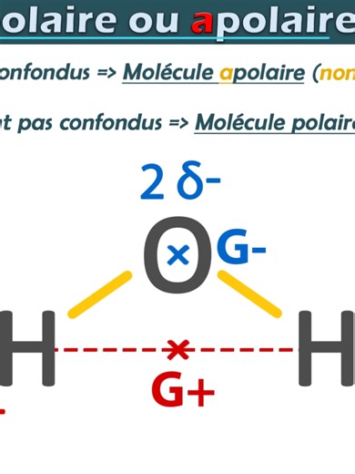 Comprendre la polarité des molécules avec H2O
