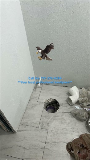 Professional Local Handyman Services