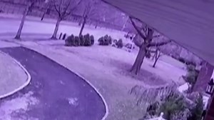 Incredible moment car is torn in half after crashing into a tree