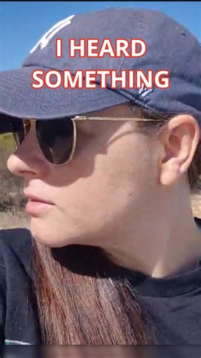 Everyone Thinks Australia Is Dangerous… But THIS Is just ANNOYING 😂