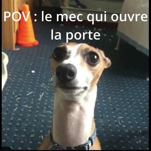 POV : Le mec sait pas ouvrir la porte #stealabrainrot #roblox #gaming #drôle #rire
