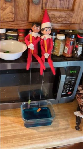 I would have fixed microwave hot dogs but...