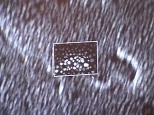 Scanning Electron Microscope: Pt 4 of 6