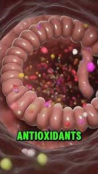 What happens to your body when you take multivitamin every day
