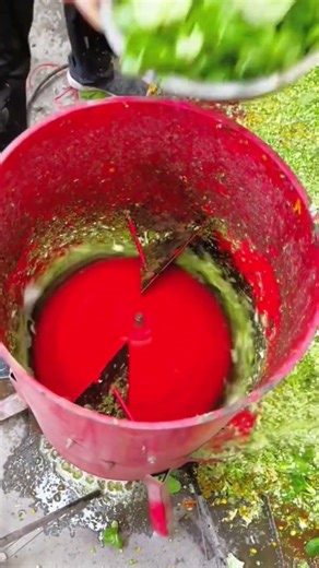 Gemüsezerkleinerung in dieser Maschine 🥕 #vegetableprocessing #foodmachine