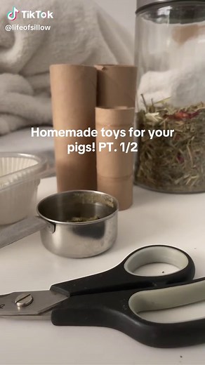 Homemade Toys for Guinea Pigs: Fun DIY Ideas