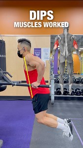 Andrew Kwong | Dips work both triceps and lowe me chest. If you lean forward, you will put more emphasis on the lower chest! #dipset #dips #tricepdips... | Instagram