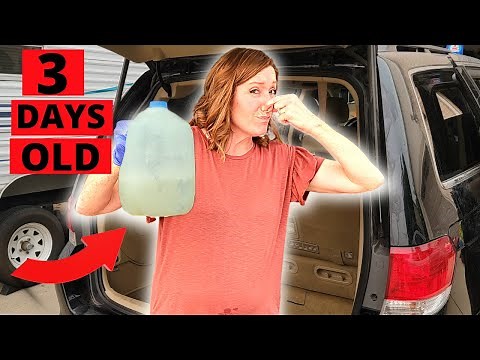 How to Get Sour Milk Smell 🤢 Out of Your Car!!