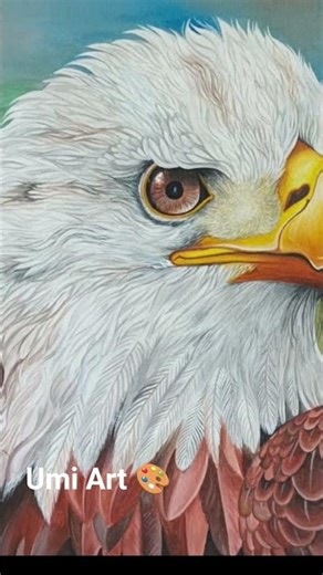 A painting of an eagle on canvas..🎨💖