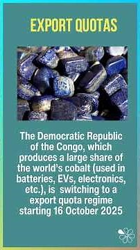Import Quotas: 60 Second Economics | A Level & IB