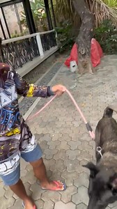 Ramon Bong Revilla, Jr. on Reels