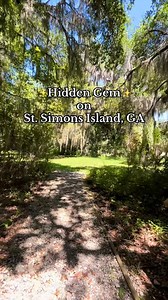 Exploring nature heals your soul. ✨ | St. Simons Island, Georgia