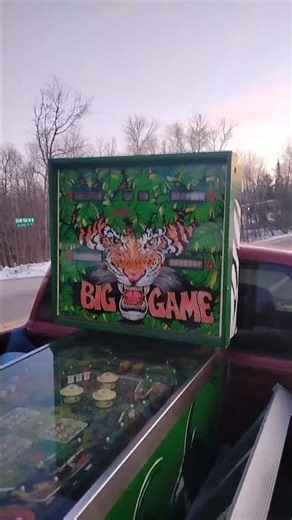 BIG GAME Pinball Machine 2-12-26.