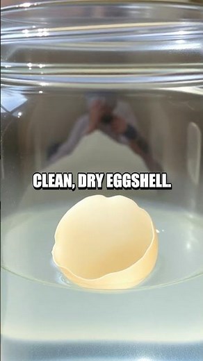 Growing Your Own Homemade Geodes