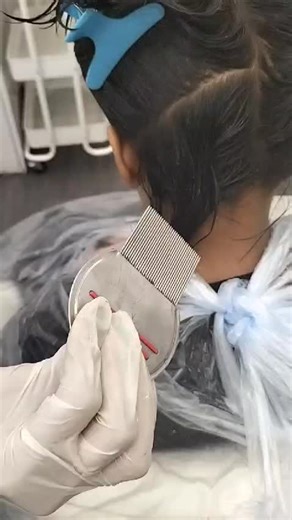 Lice Free Salon on TikTok