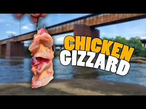 Kayak Catfishing with Chicken Gizzards