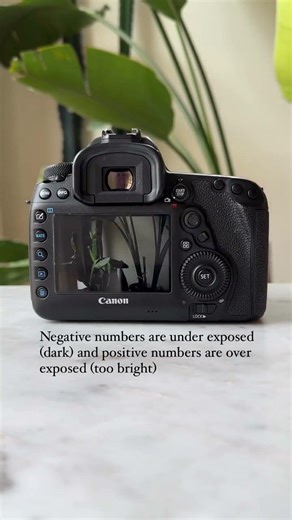 Your light meter is the most valuable feedback tool your camera has to offer you! More in desc!