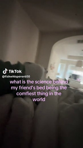 Why Friend's Beds Are So Comfy