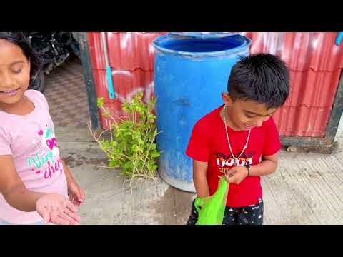 माऊलीने पावसात बर्फ सगळ्यांच्या अंगात टाकला 🔥