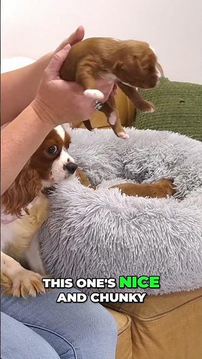 🔥 The Boys of Mercedes + Miles 🔥