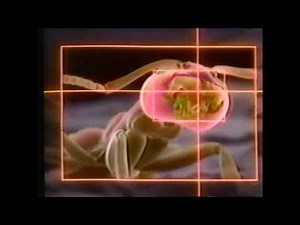 Orkin Pest Control Commercial