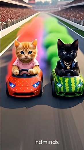 Two Cats Challenge a Supercar?! You Won’t Believe Who Wins ! #Shorts #Cat #Racing