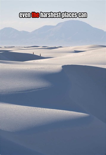 White Sands National Park gypsum dunes explained