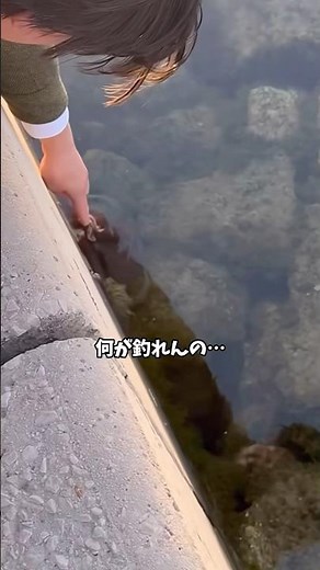 【ミラクルや、奇跡や】#釣り #奇跡 #ミラクル #miracle #海釣り #たこ焼き #octopus #タコ #まさか #fishing #sea