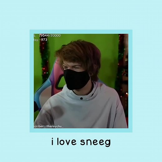 Ranboo Funny Moments Compilation