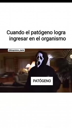 el sistema inmune innato al ataque cuando un patógeno ingresa al organismo. 😎💪🔬🥲 #humortiktok #tiktok #bioquimica #biomedicina #viral #fypシ #funny #funnyvideos #scary #immunity #laboratory #biology #comedyvideo #argentina