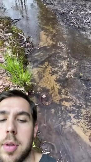 ⁣The Forbidden Water Pancake aka Cottonmouth aka Water moccasin ⁣⁣Can you identify one? 👀⁣⁣CC: bradleyallen783 on TT⁣⁣ ⁣⁣⁣⁣⁣⁣⁣⁣⁣⁣⁣⁣⁣⁣⁣⁣⁣⁣⁣#reptile #snakes #cottonmouth #venomous #viper #wildlife #naturefacts #reactions | Wild Attractions