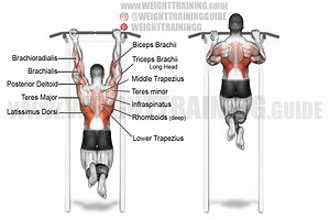 Mixed-grip pull-up exercise instructions and video | weighttraining.guide