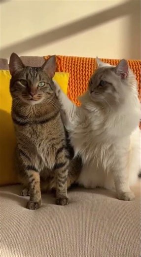 Dude you need to get your head examined This mind trick will blow your mind