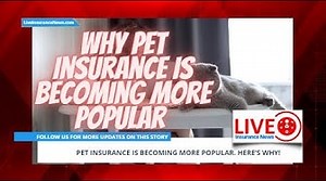 Why pet insurance is becoming more popular