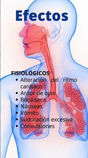 Adicción a la marihuana - Efectos en el organismo P1