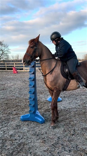 Working Equitation Rope Gate 2