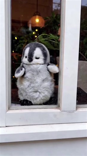 Adorable Baby Penguins: The Cutest Creatures of the Arctic