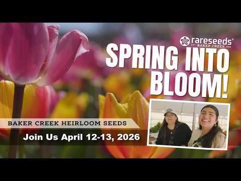 Spring Into Bloom at the Spring Flower Festival!