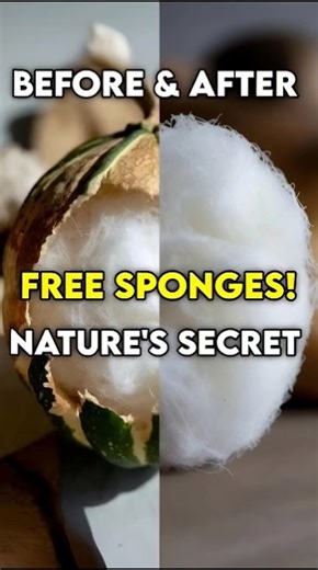 Ditch Plastic Sponges with THIS Amazing NATURAL Loofah Hack