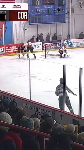 We’ve still got fight in us. 🔥 Get your tickets for tomorrow at 2pm MT at tickets.nmicewolves.com | New Mexico Ice Wolves