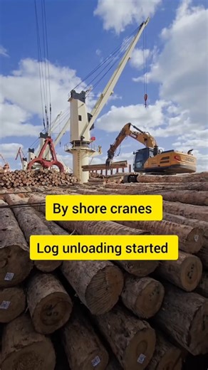 Kappal raja on Instagram: "Log unloading started 🪵😊 #Kappalraja #ShipLife #MarinerLife #MerchantNavy #Seafarer #LifeAtSea #SeaAdventure #SailorVibes #MarineEngineer #ShipCrew #OceanLife #SailorsJourney #WorkAndTravel #AdventureAtSea #WanderlustMariner #TamilMariner #TamilNavy #KadalLife #KadalKumaran #தமிழ்Mariner #ShipVlog #SeaStories #SailorsLifeForMe #WorkFromSea #OceanDreams"