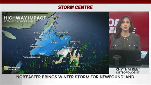 Powerful winter storm slams Newfoundland with heavy snow