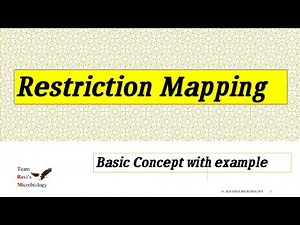 Restriction Mapping || Restriction Digestion Concept || Hindi