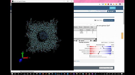 【搬运】中英 NAMD教程 蛋白/膜蛋白模拟 配体结合自由能 CHARMM-GUI配体参数化 novel residue VMD搭体系