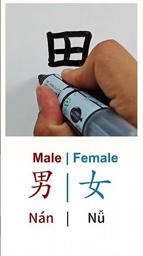 How to Write MALE & FEMALE in Chinese language Nan男 & Nu女 in Chinese Characters Handwriting