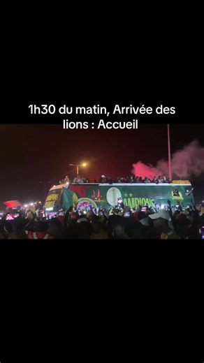 Arrivée des lions 🦁. #senegal #fsf