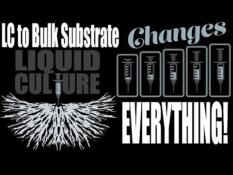 Liquid Culture: Inoculation of Bulk Substrate is Possible!