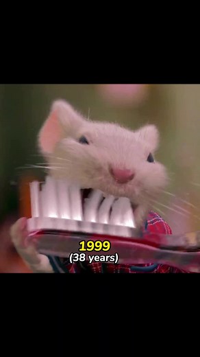 Evolution Stuart Little 1999 #stuartlittle #evolutionchallenge #evolution #michaeljfox #nathanlane #geenadavis #chazzpalminteri