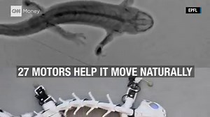 13K views · 188 reactions | This 3D printed robot is helping researchers understand how the spinal cord controls motion. | CNN Business | Facebook