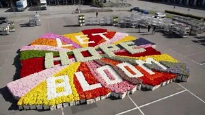 Let Hope Bloom ❤️ | La Rose Florist